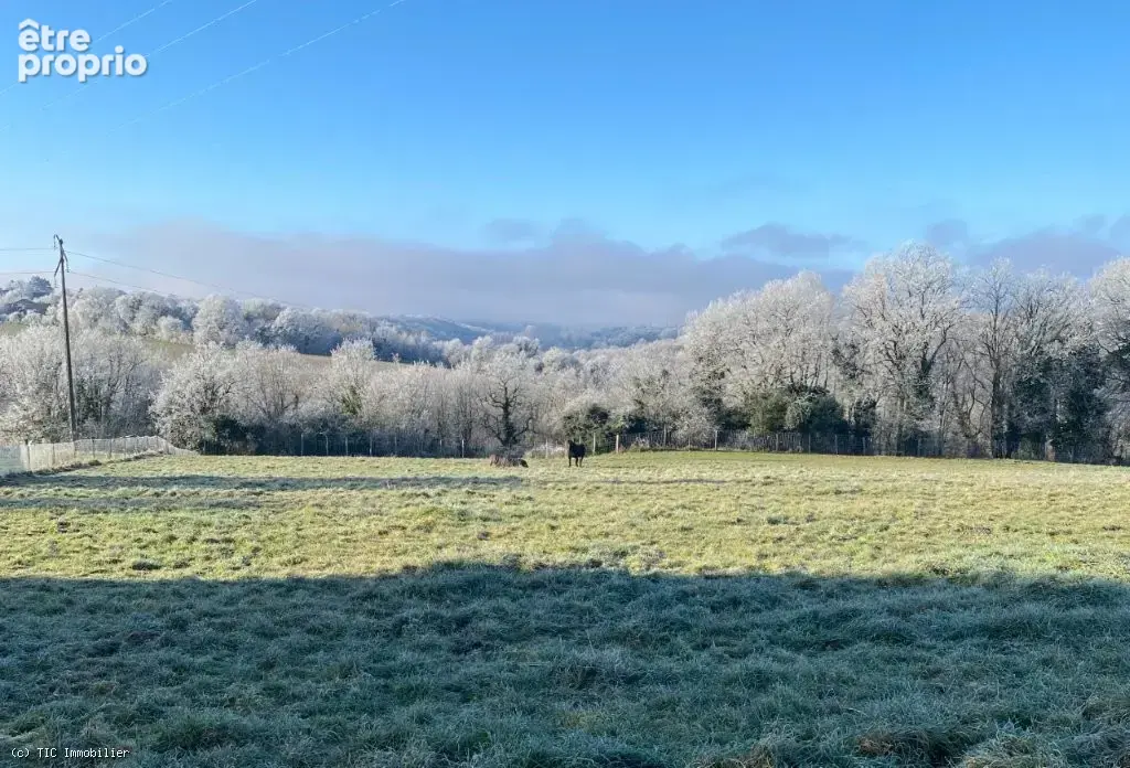 Maison Exceptionnelle avec Petite Equestre, Prairie Clôturée, Grand Terrain et Vues Magnifiques ! - photo 38