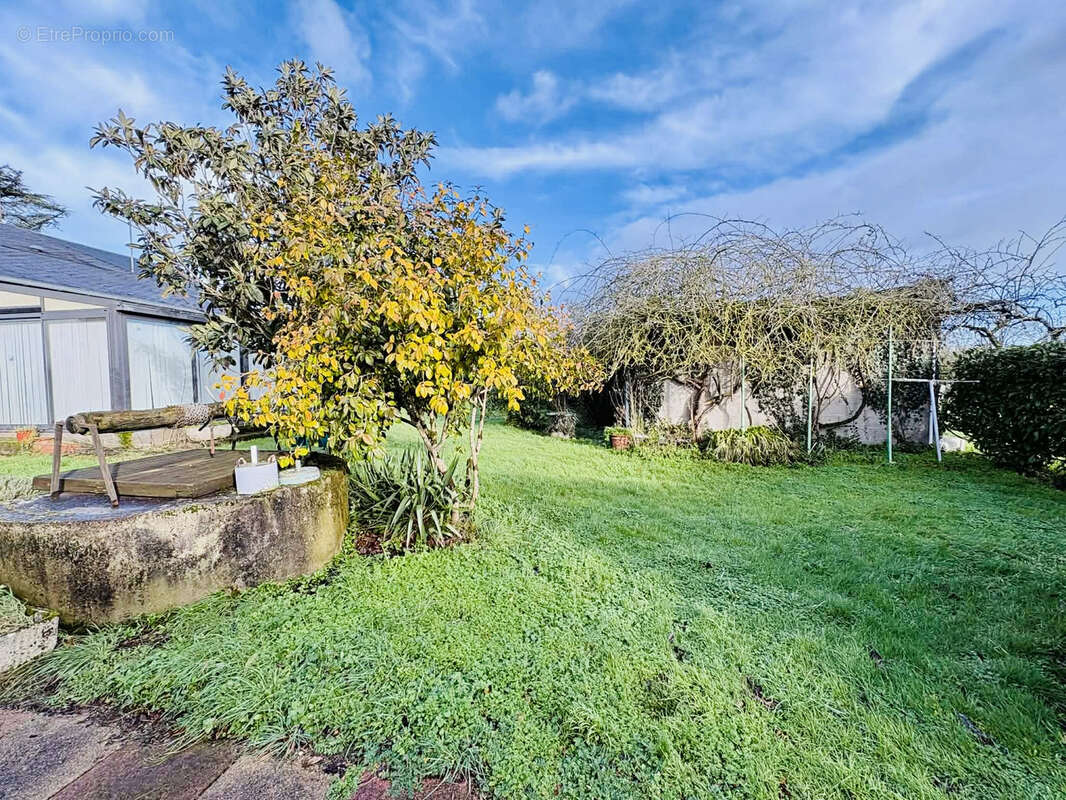 Maison à VIEILLEVIGNE