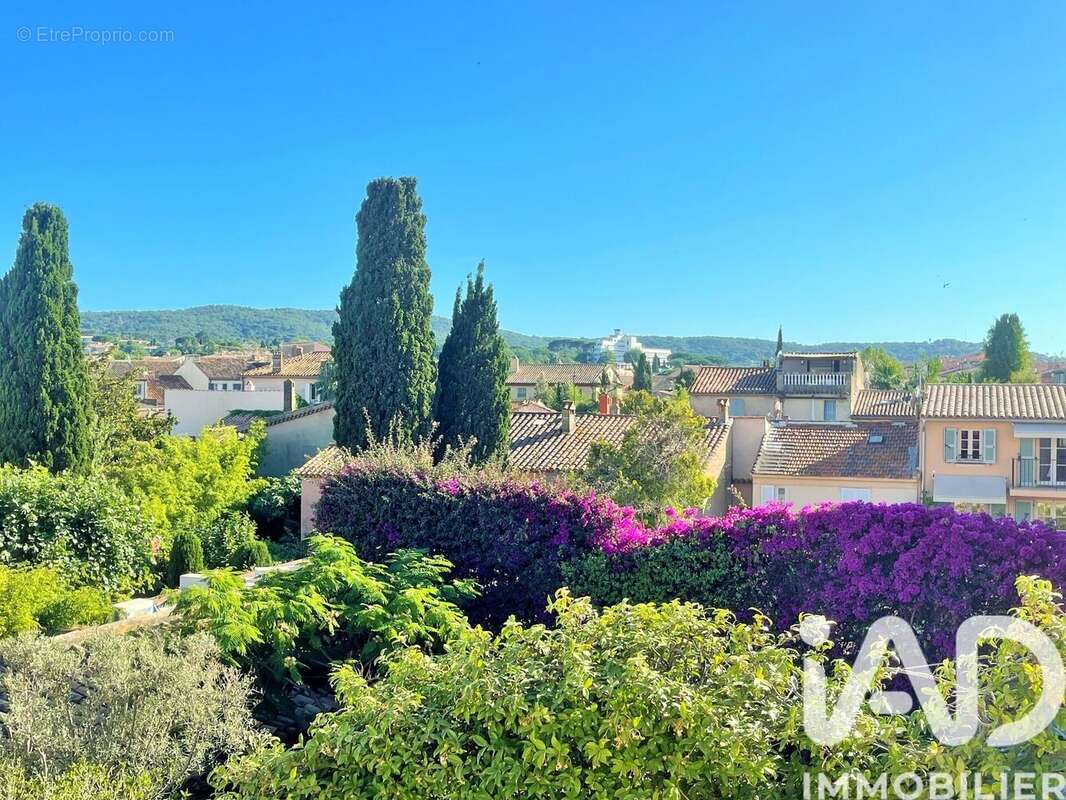 Photo 3 - Appartement à SAINT-TROPEZ