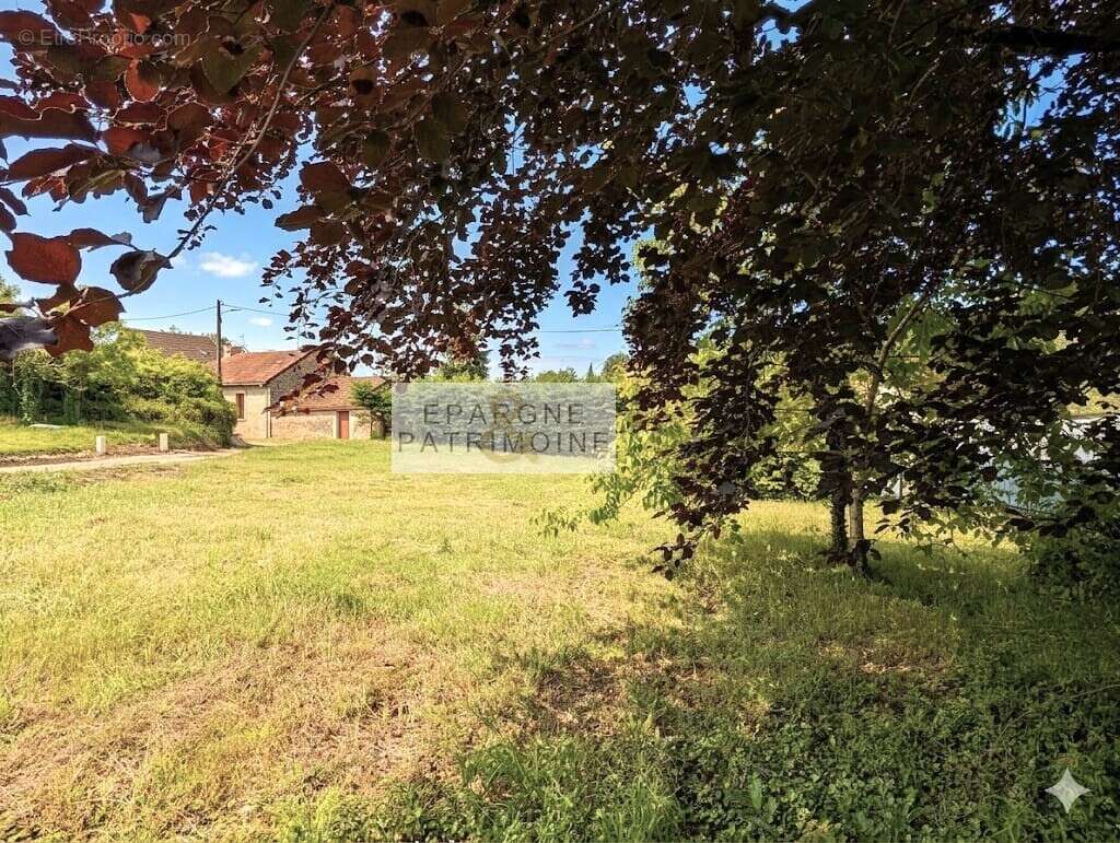 n°4 - Terrain à PANOSSAS