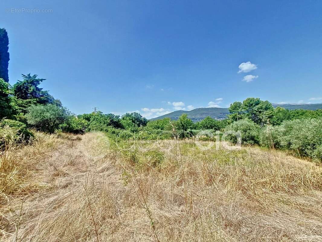 Propriété de 214 m² à PLASCASSIER, idéalement agencée  pour un projet de regroupement familial - photo 3