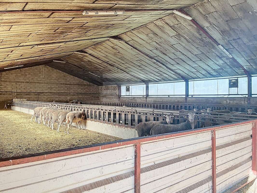 Maison à BELMONT-SUR-RANCE