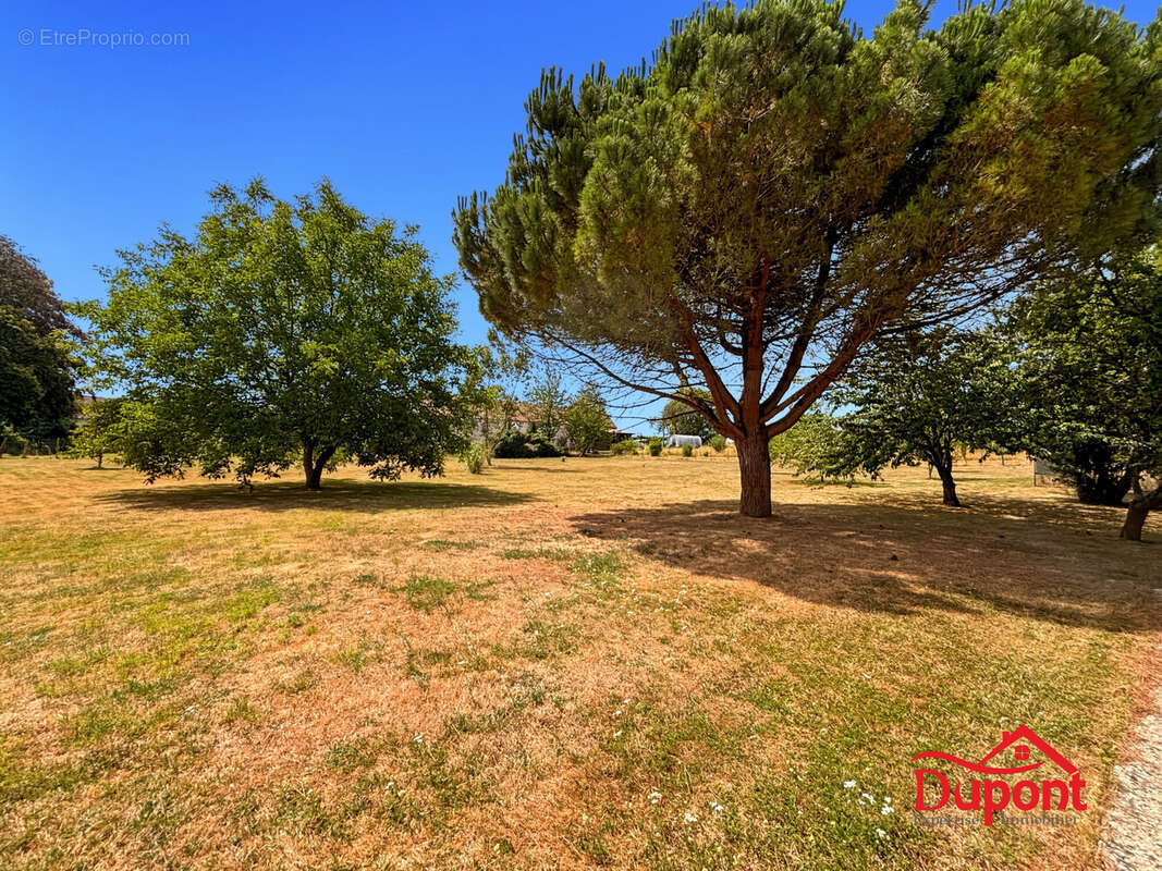 Maison 210 m² à Cerneux  - photo 4