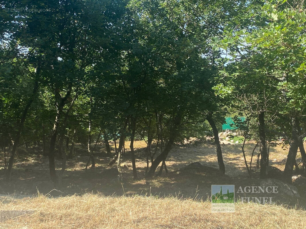 Terrain à SAINT-VALLIER-DE-THIEY