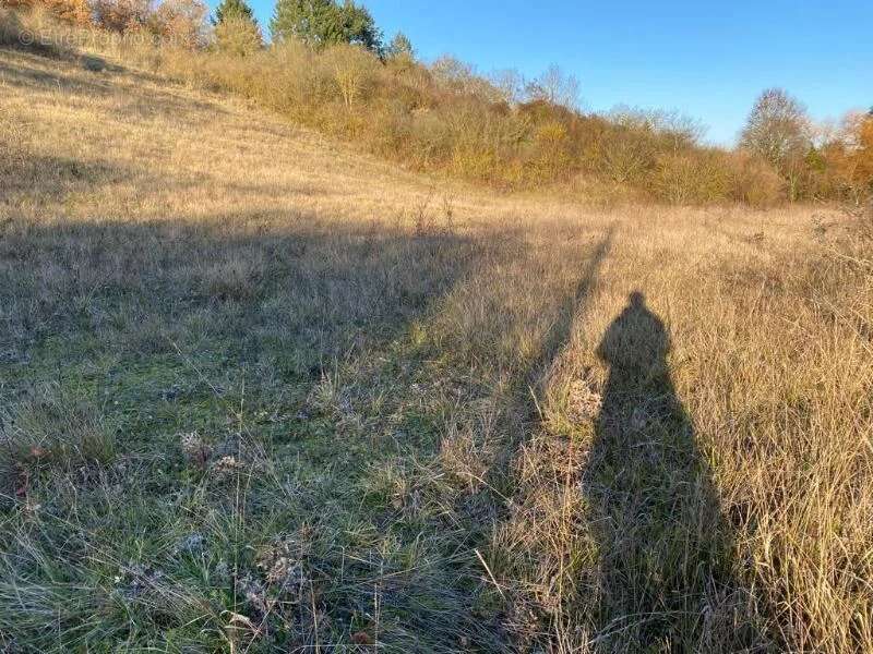 Terrain à VILLEMEUX-SUR-EURE