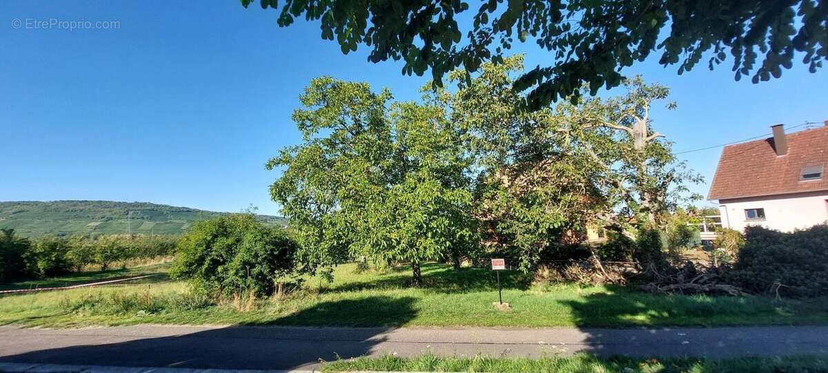 Photo 7 - Terrain à DORLISHEIM