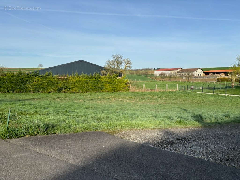 Terrain à RANTZWILLER