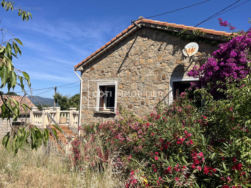 Petreto bicchisano - maison 3 pieces - 95.05m2 - photo 12