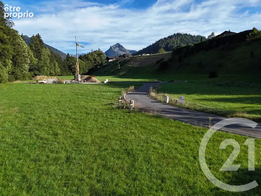 Terrain 745 m² à vendre à Montriond (74110) - photo 3