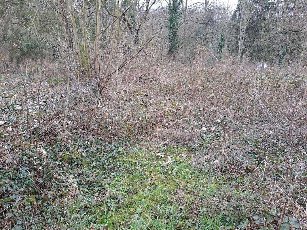 Photo 2 - Terrain à CATENOY