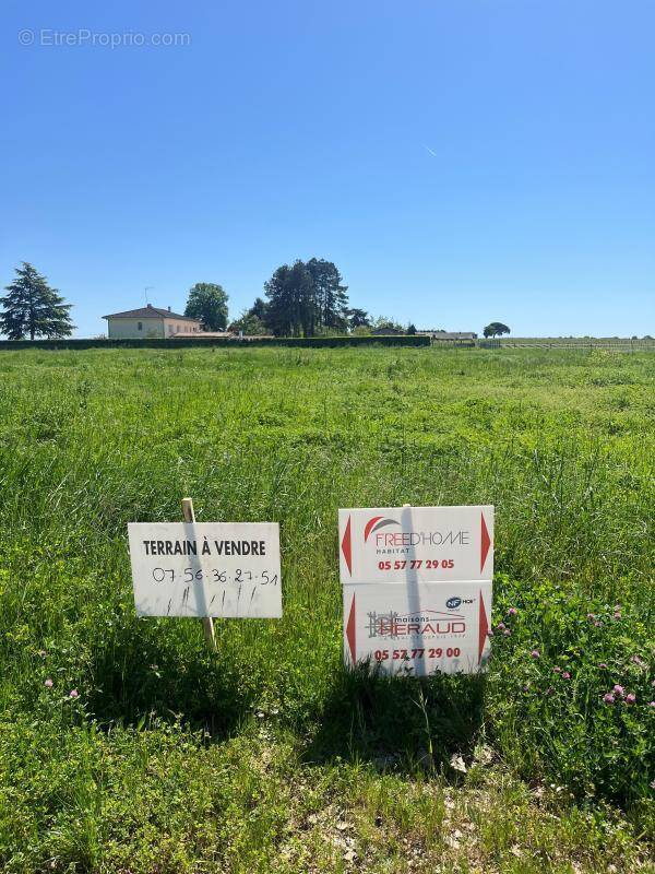Terrain à SAINT-QUENTIN-DE-BARON