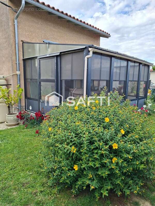 Photo 4