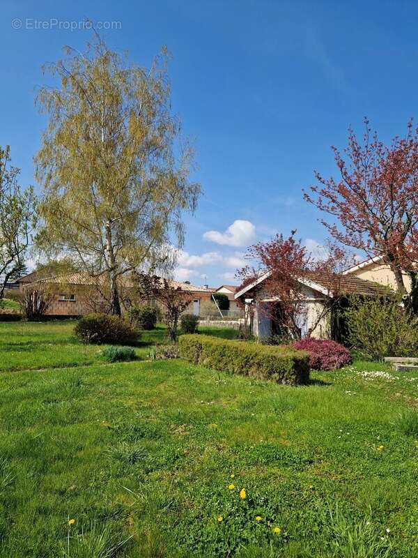 Maison à CRECHES-SUR-SAONE