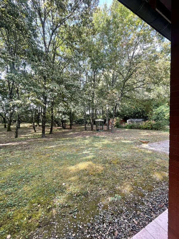 Maison-177m2-villeneuve les bouloc - photo 15