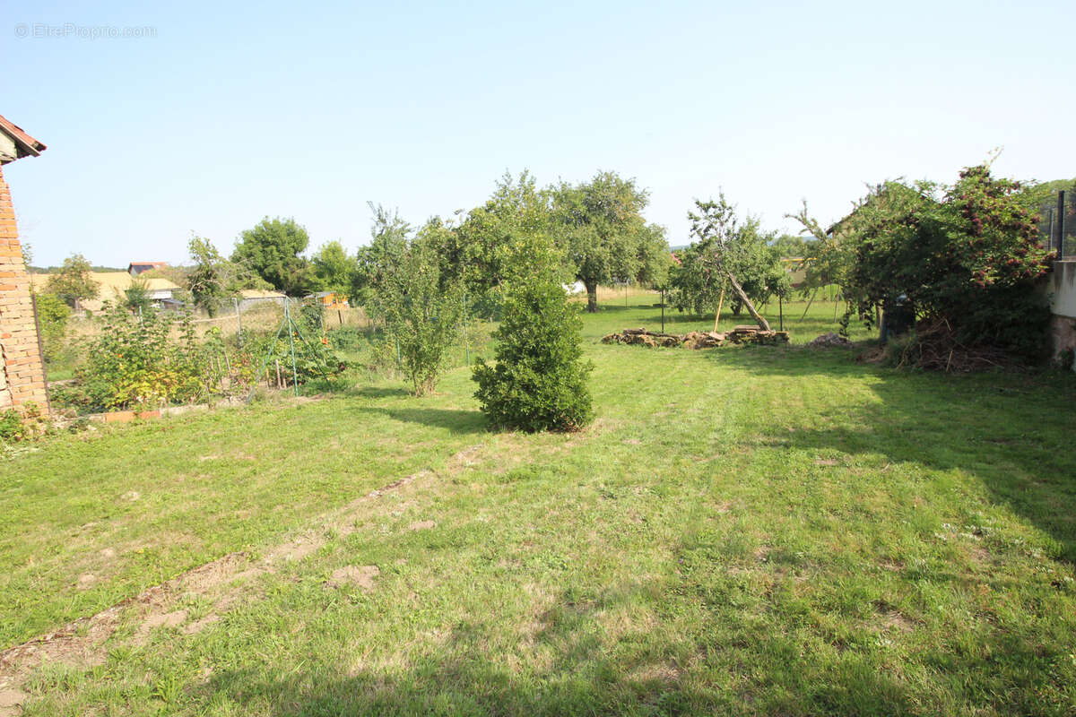 Maison à ALLENWILLER