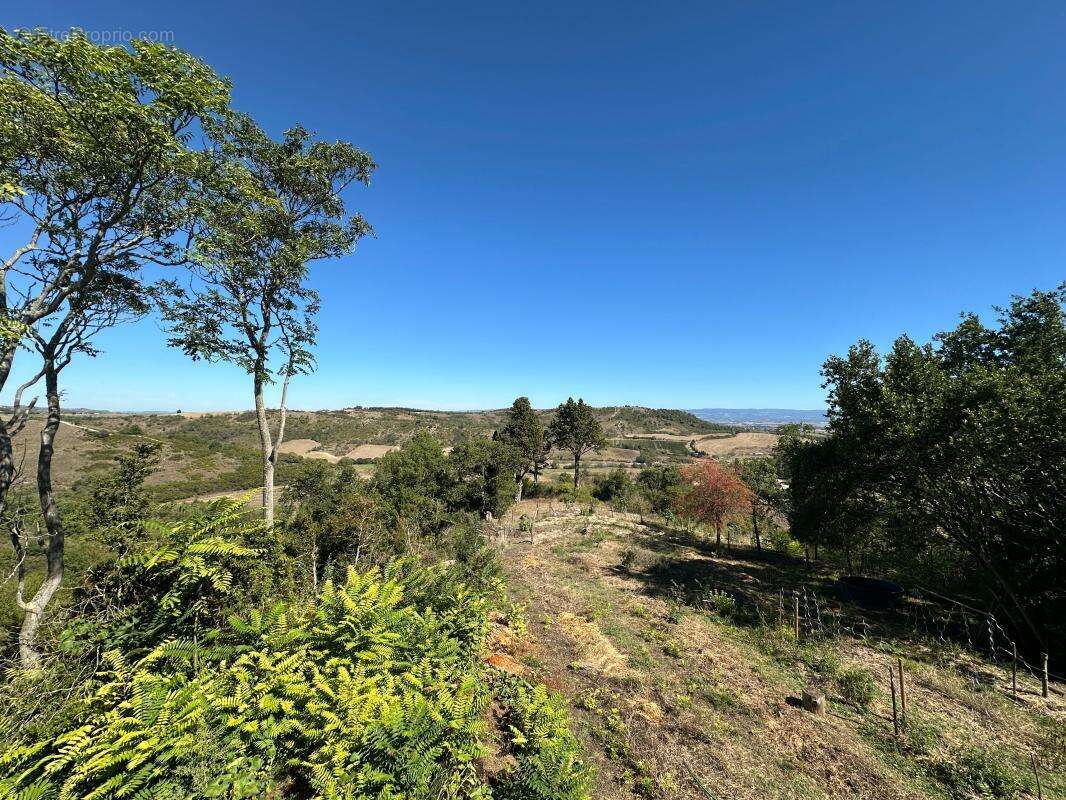 Mas/ferme rénové avec 6 chambres et 23 hectares de terrain - photo 34