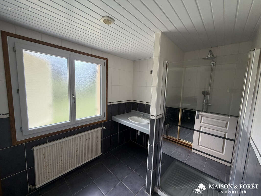 Maison à OUZOUER-SUR-TREZEE