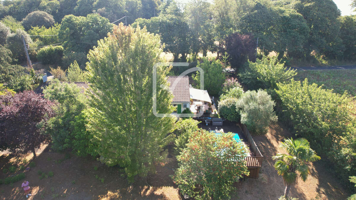 Viager occupe - photo 27