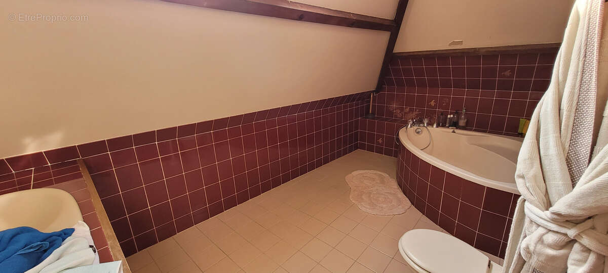 Maison à LAILLY-EN-VAL