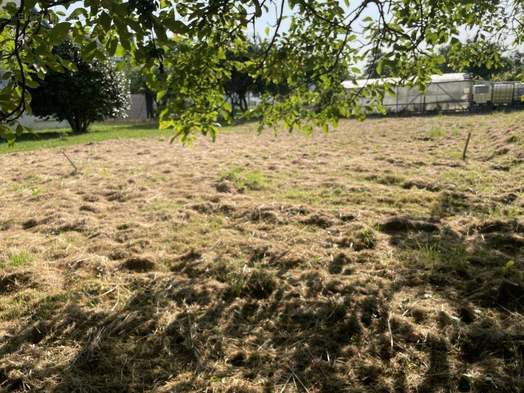 Terrain à NOYAL-MUZILLAC