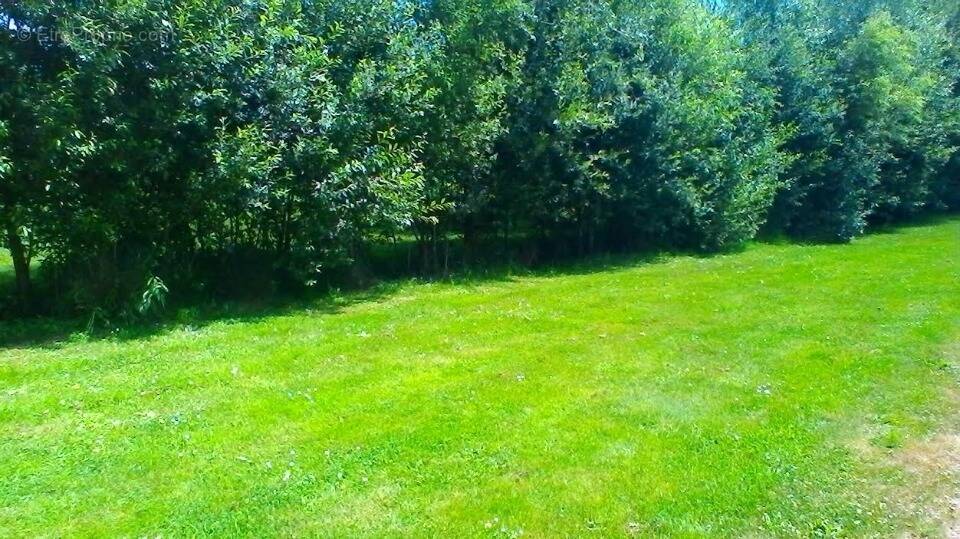 Terrain à VILLEMOISSON-SUR-ORGE