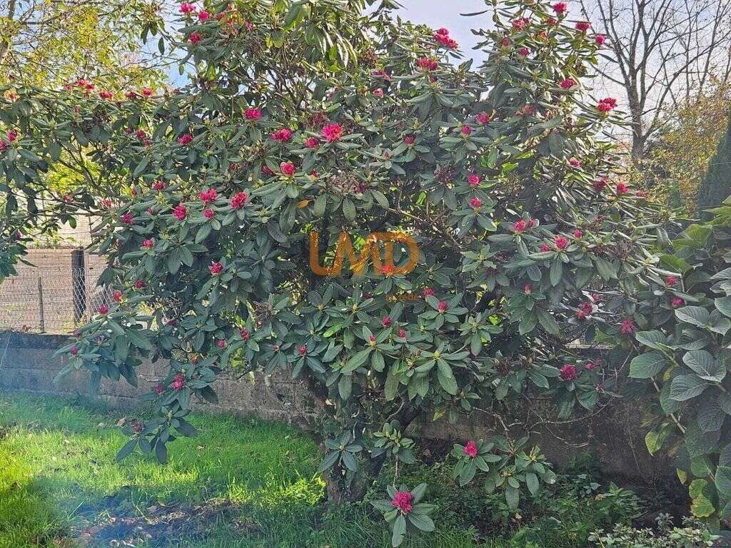 Maison à LA CHAPELLE-SUR-ERDRE