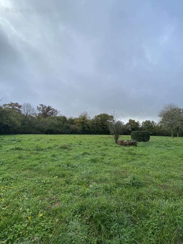 Maison à COMMEQUIERS