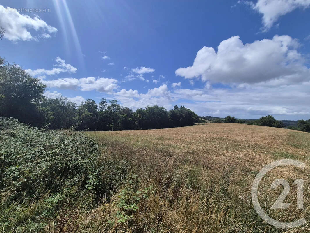 Terrain à SALIES-DE-BEARN