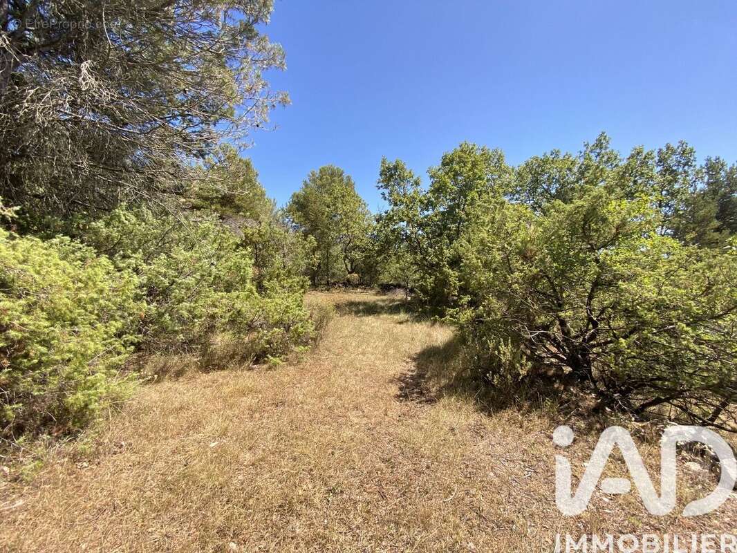 Photo 5 - Terrain à SAINT-VALLIER-DE-THIEY