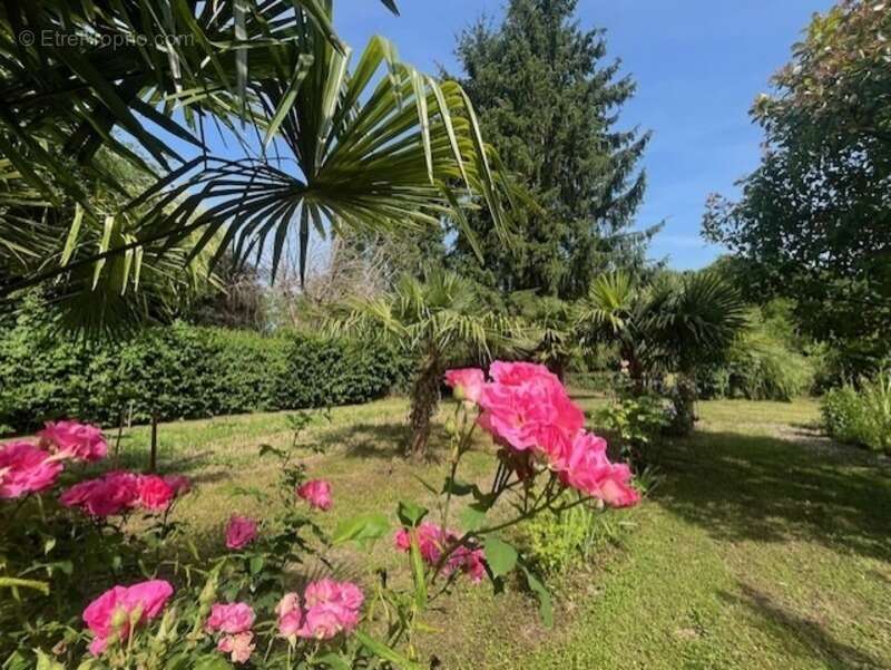 PLAISANCE (32): SANS TRAVAUX, MAISON XVIIIs restaurée avec élégance SUR 240M2 habitables, 6600m2 de jardin,géothermie,  puits, g - photo 50