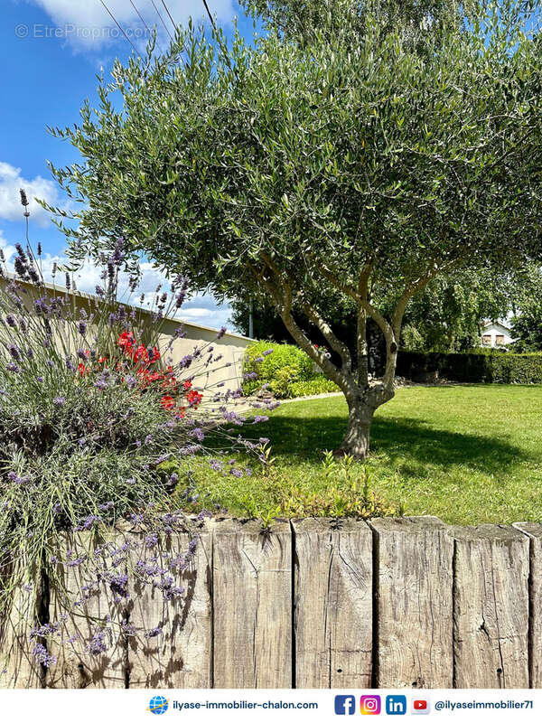 Maison 160 m2  4 ch  1400 m2 - photo 2