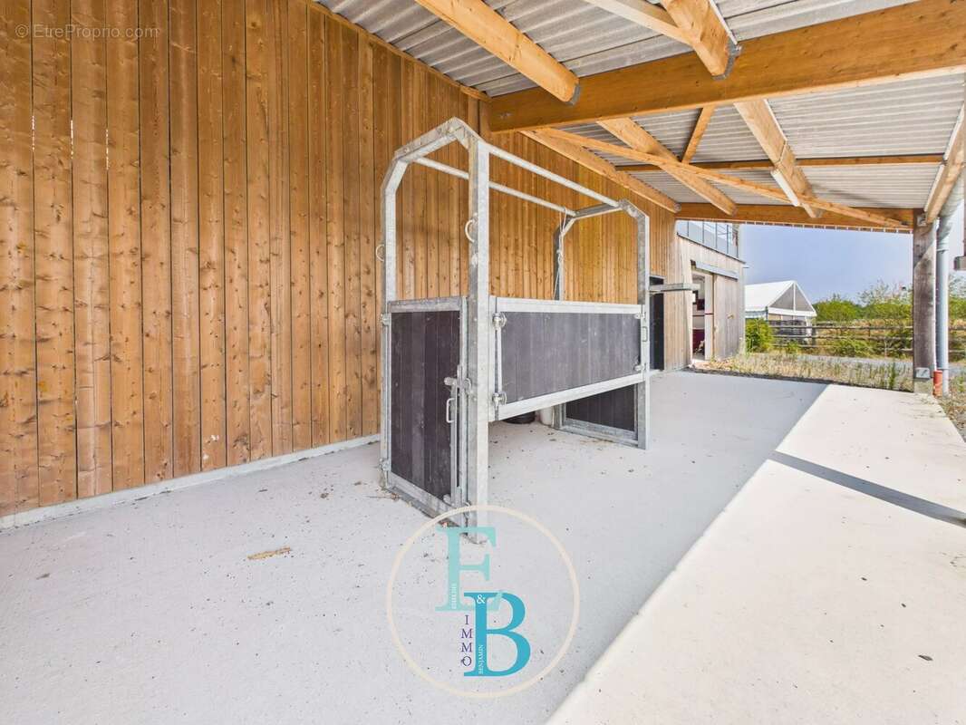 Grangues (pays d'auge) - centre d'entrainement et de reeducation equin avec balneotherapie - photo 16