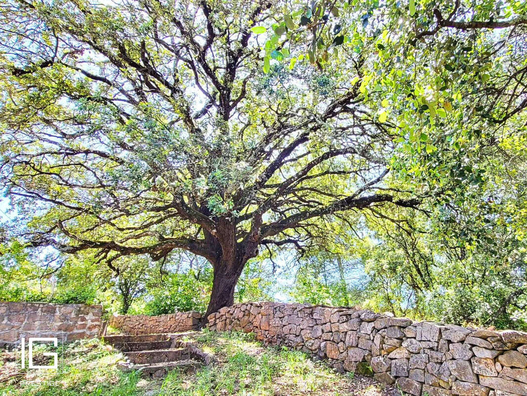 Maison à ENTRECASTEAUX