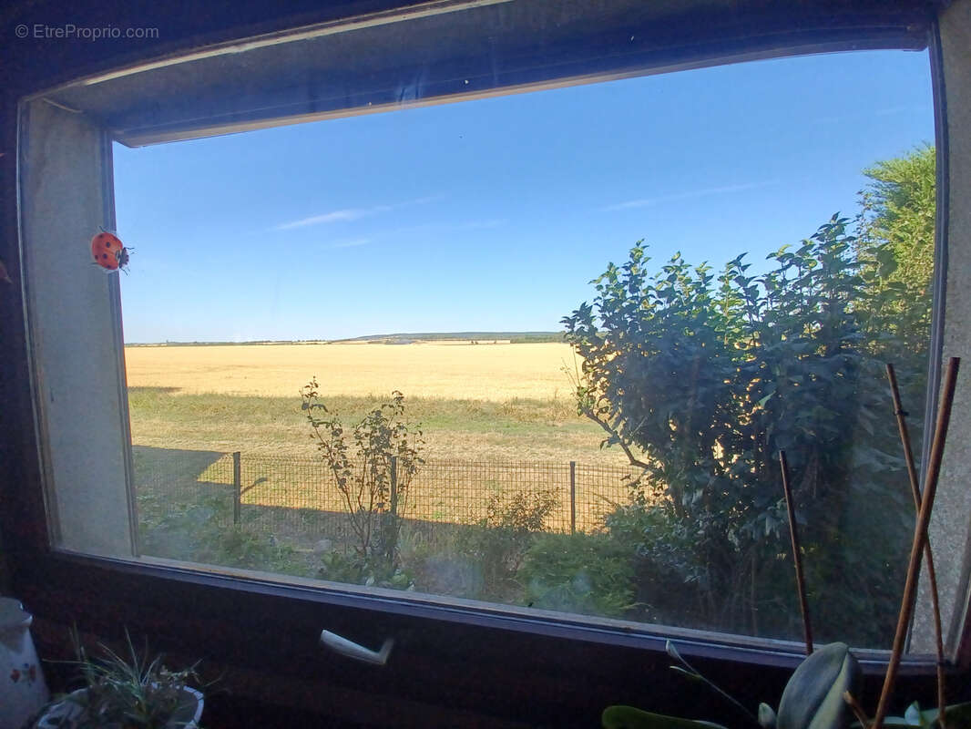 Situé à 35 min de BOURGES (18),  16 Min AVORD . Ensemble immobilier composé de deux maisons et isolé de voisin - photo 3