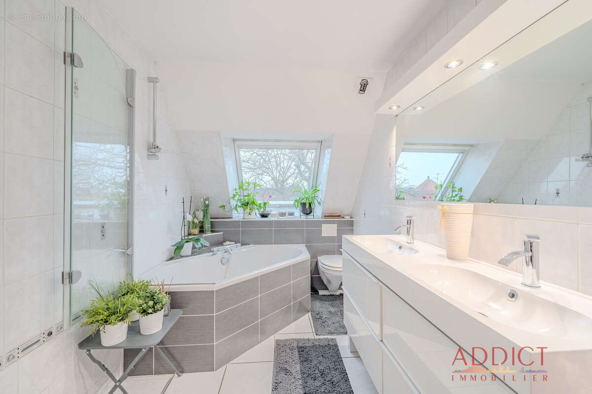 Appartement à NIEDERHAUSBERGEN