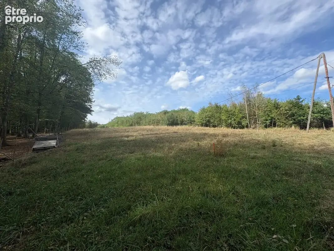Maison au bord du bassin de Champagney avec 60,93 ares de Terrain. - photo 2