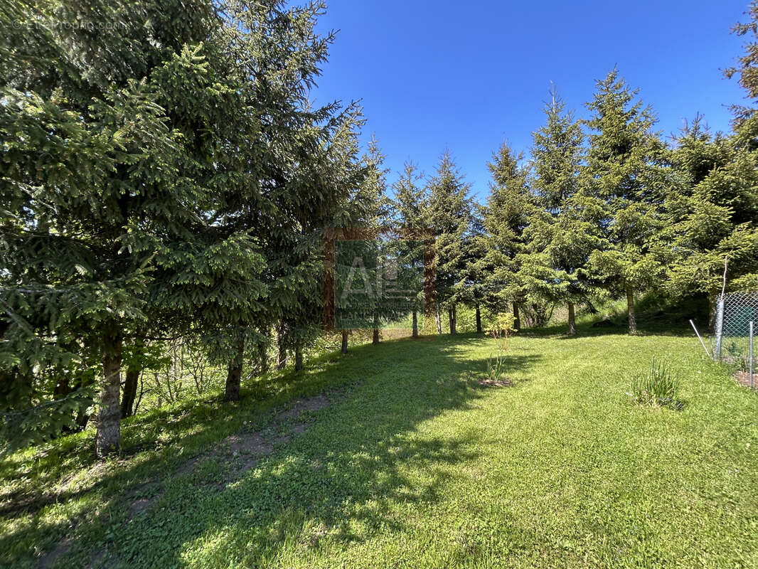 Maison de plain-pied sur terrain arboré de 2 200 m2 - photo 10