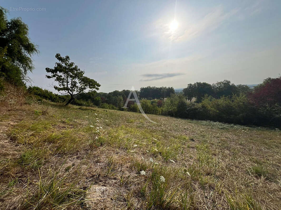 Terrain à Rabastens de 1252 m² ! - photo 2