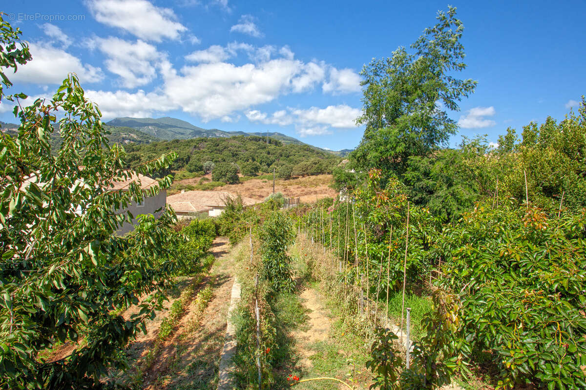 Maison à VENZOLASCA