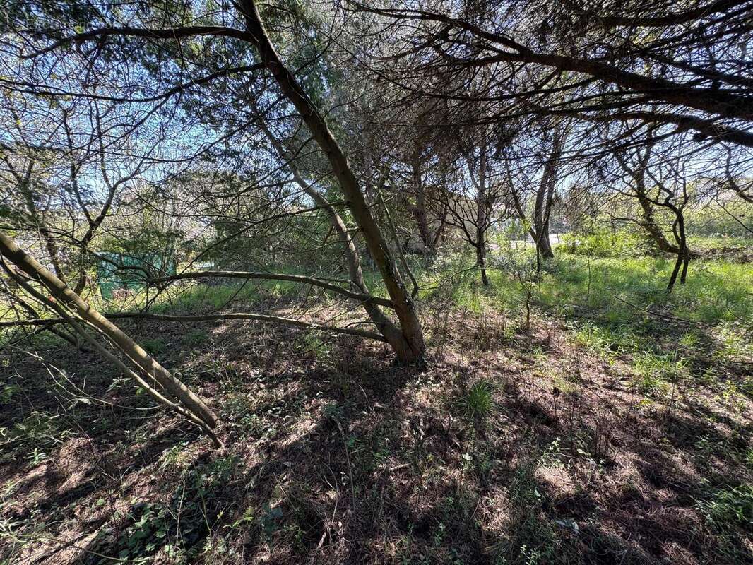 Photo 3 - Terrain à CHATEAU-D'OLONNE