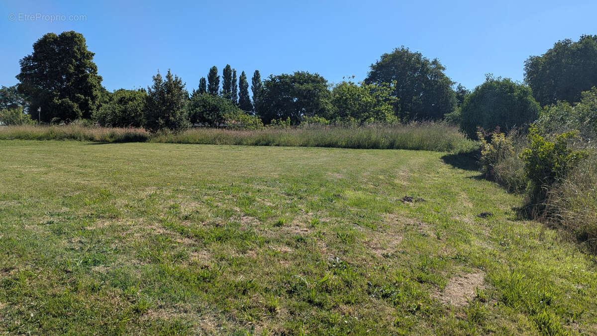 Terrain à ARTHON-EN-RETZ