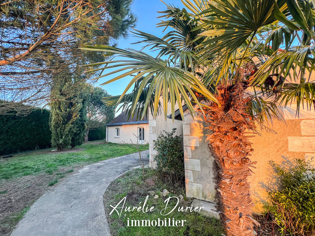 Maison à BALLAN-MIRE