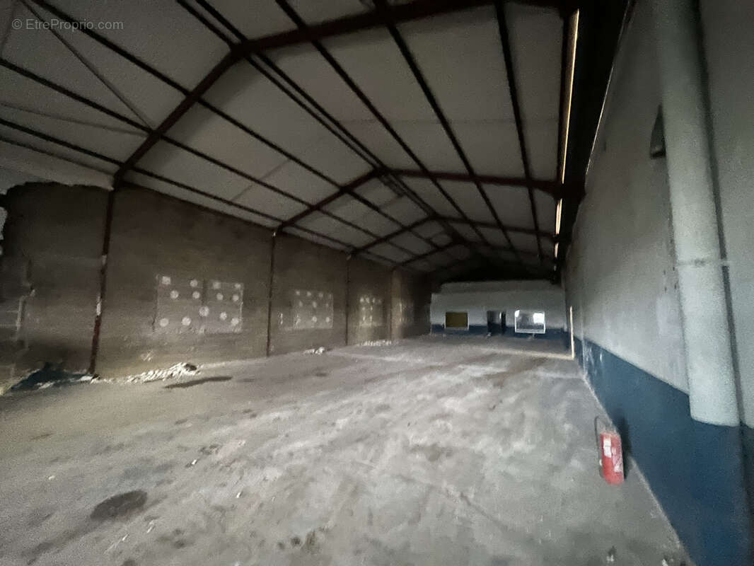 Commerce à MONCE-EN-BELIN