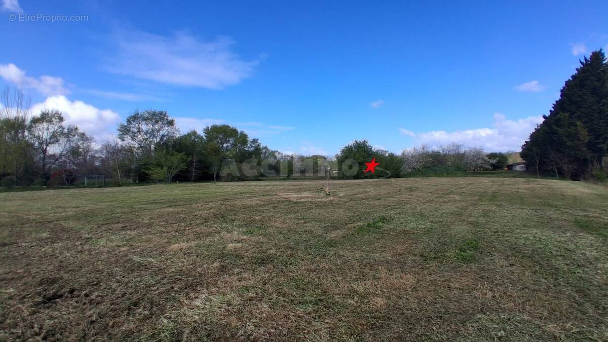 Terrain à LAVAUR