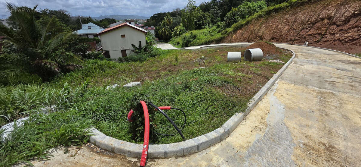 Terrain à SAINT-JOSEPH