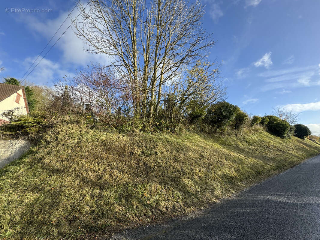 Terrain à TOEUFLES