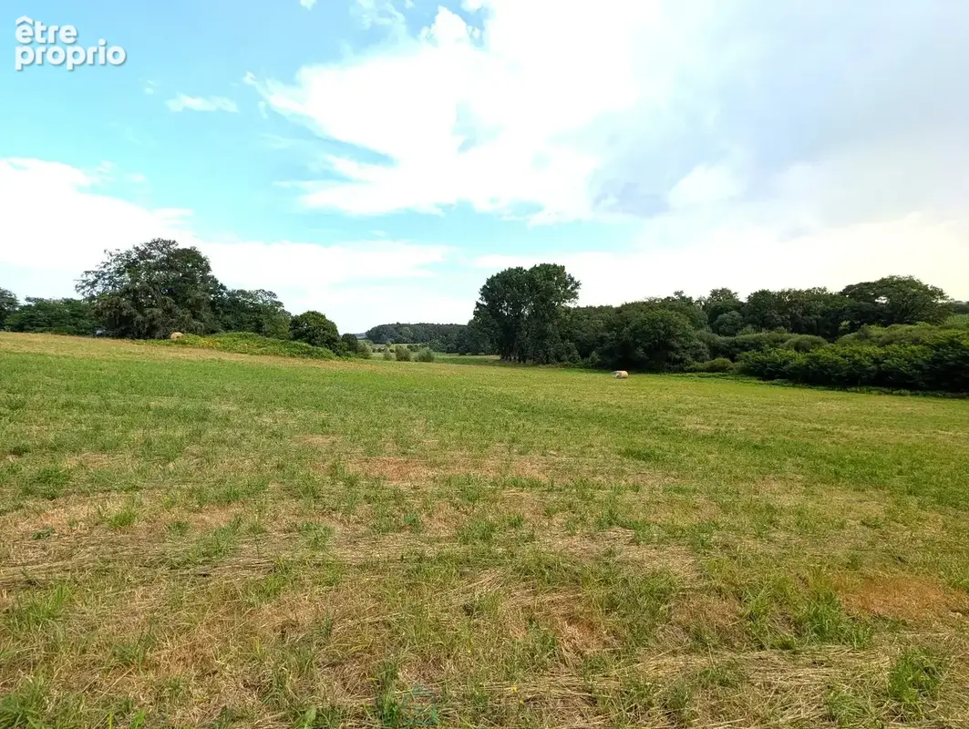 Propriété sur 27 hectares, maison 179 m2, bâtiments de 700 m2 salle de réception et 600 m2 garage - photo 3