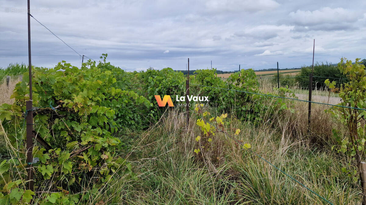 Terrain à LALOEUF