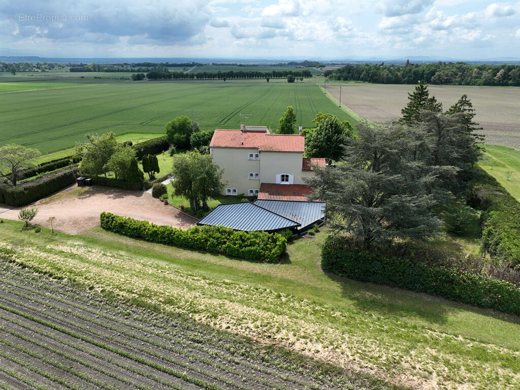 Mas provencal sans voisin - photo 11