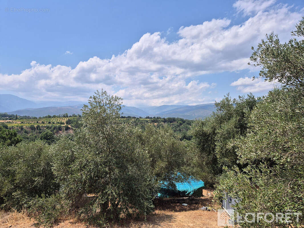 Maison Los Masos sur terrain de 4300m2 - photo 15